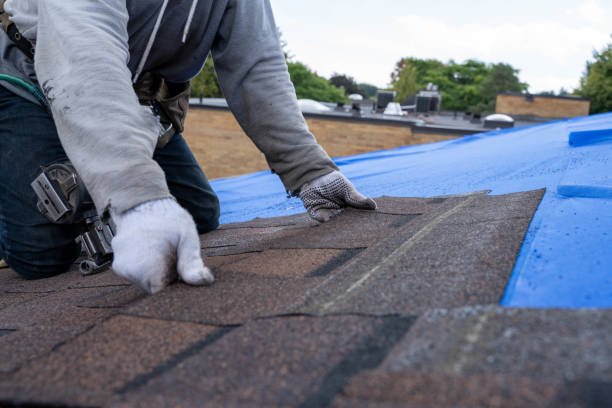 Quick and Trustworthy Emergency Roof Repair Services in Inverness, CA