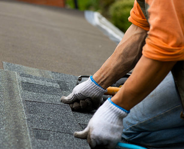 Best Roof Maintenance Services  in Inverness, CA